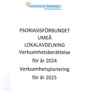 Verksamhetsberättelse2024 verksamhetsplan 2025