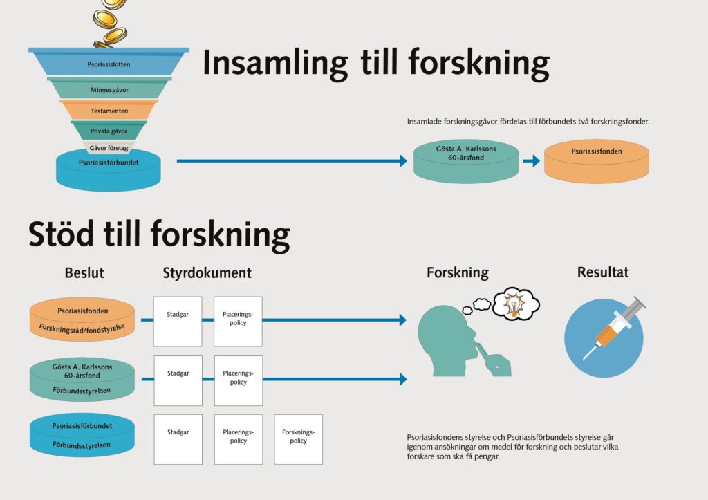 Bilden beskriver hur insamlade medel fördelas av Psoriasisförbundet till forskningsfonderna.